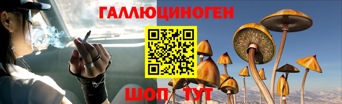 Галлюциногенные грибы MAGIC MUSHROOMS Саратов